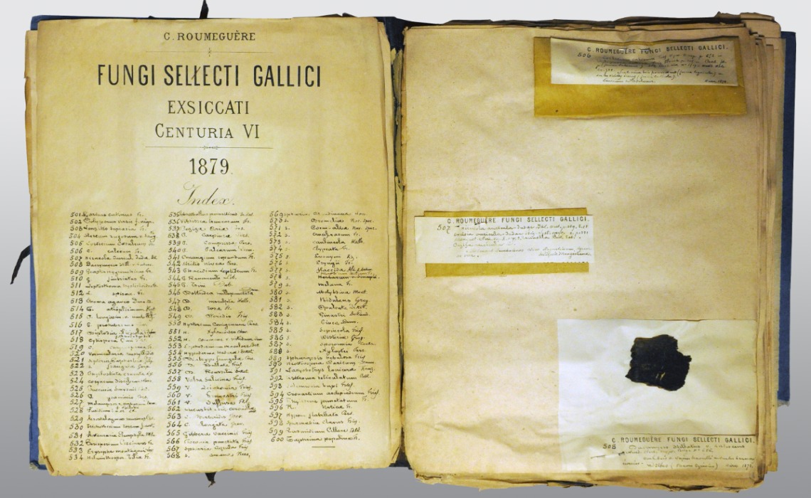 Dossiers avec planches : « Fungi selecti galliaei exsiccati », champignons collectés par Casimir Roumeguère de 1879 à 1890. 