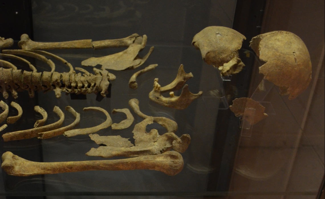 La collégiale Saint-Martin de Brive : squelette humain, 16e-18e siècle.